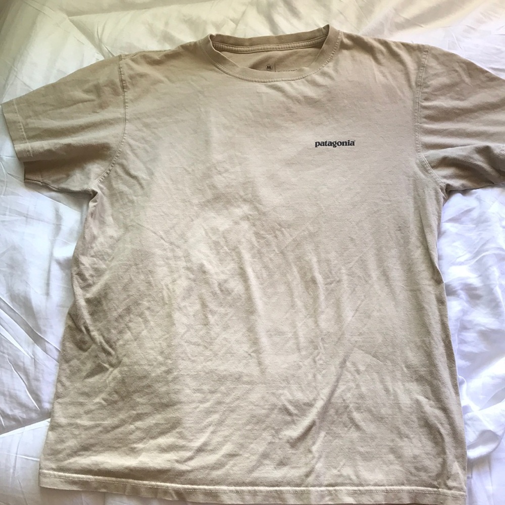Tan Patagonia tee shirt